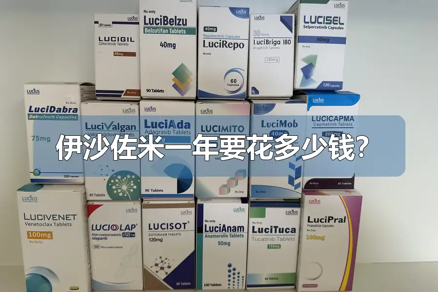 伊沙佐米一年要花多少钱?